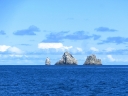 whangarei (77)